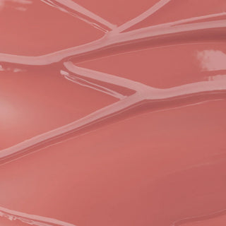 MUZIGAE MANSION - Icy Glow