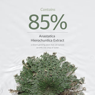 Dr. Althea - Anastatica Skin Conditioning Toner