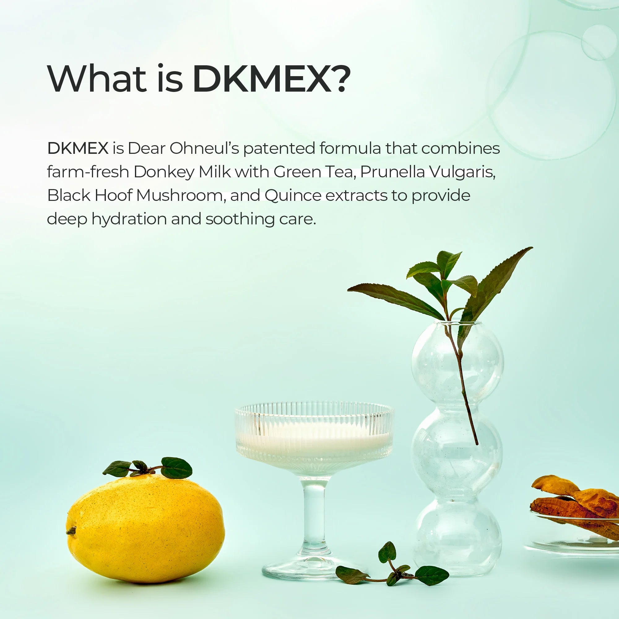 DEAR OHNEUL - Mud Cleanser
