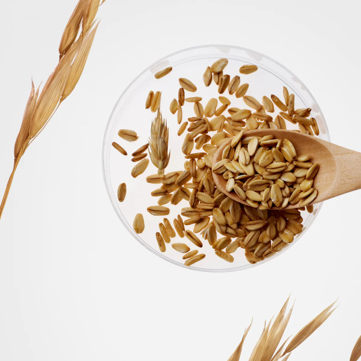 PURITO - Oat-In Calming Gel Cream